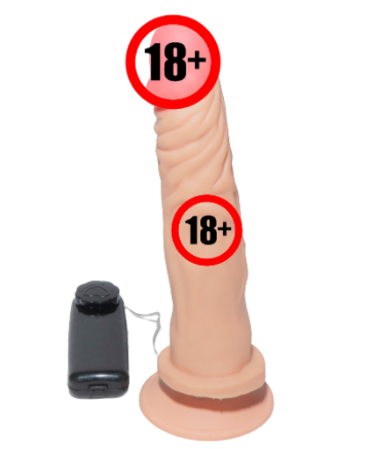 Pênis Prótese Peniana C/ventosa/vibrador/silicone19cm
